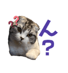 るーまにあ2（個別スタンプ：11）