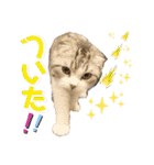 るーまにあ2（個別スタンプ：19）