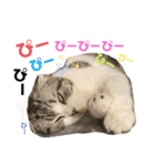 るーまにあ2（個別スタンプ：20）