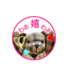 メリーのスタンプデビュー（個別スタンプ：1）