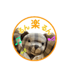 メリーのスタンプデビュー（個別スタンプ：4）