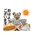 メリーのスタンプデビュー（個別スタンプ：5）