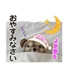 メリーのスタンプデビュー（個別スタンプ：6）