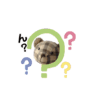 メリーのスタンプデビュー（個別スタンプ：11）
