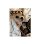 ティーたんの日記！第2弾！（個別スタンプ：4）