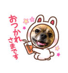 続 美ら♡うーま（個別スタンプ：1）