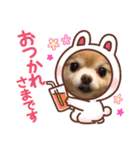 続 美ら♡うーま（個別スタンプ：2）