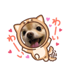 続 美ら♡うーま（個別スタンプ：4）