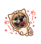 続 美ら♡うーま（個別スタンプ：6）