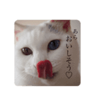 ユニコの日々（個別スタンプ：4）