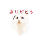 ユニコの日々（個別スタンプ：7）