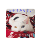 ユニコの日々（個別スタンプ：8）