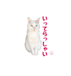ユニコの日々（個別スタンプ：9）