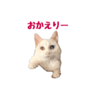 ユニコの日々（個別スタンプ：10）