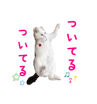 ユニコの日々（個別スタンプ：13）