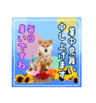 季節のスタンプ柴犬つむぎ（個別スタンプ：21）