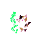 ねこ_スタンプ（個別スタンプ：1）