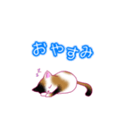 ねこ_スタンプ（個別スタンプ：3）