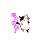 ねこ_スタンプ（個別スタンプ：4）