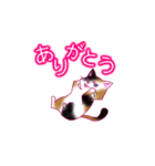 ねこ_スタンプ（個別スタンプ：6）