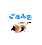 ねこ_スタンプ（個別スタンプ：7）