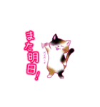 ねこ_スタンプ（個別スタンプ：9）