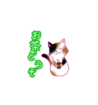 ねこ_スタンプ（個別スタンプ：11）