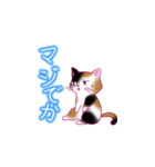 ねこ_スタンプ（個別スタンプ：14）