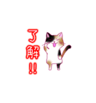ねこ_スタンプ（個別スタンプ：15）