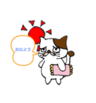 猫の目力（個別スタンプ：1）