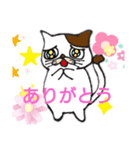 猫の目力（個別スタンプ：3）