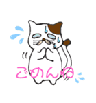 猫の目力（個別スタンプ：4）