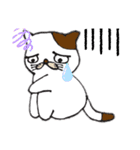 猫の目力（個別スタンプ：8）