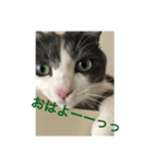 オワリ日和（個別スタンプ：4）