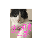 オワリ日和（個別スタンプ：5）