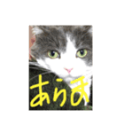 オワリ日和（個別スタンプ：7）