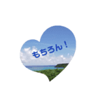 空SOLA.2（個別スタンプ：5）