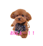 虎太郎さんのスタンプ（個別スタンプ：2）