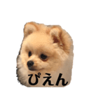 アンディの毎日使えるスタンプ小言。（個別スタンプ：8）
