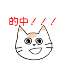 ギャンブル大好きねこ（個別スタンプ：1）