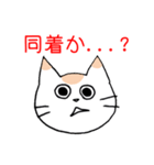 ギャンブル大好きねこ（個別スタンプ：4）