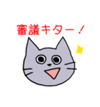 ギャンブル大好きねこ（個別スタンプ：13）