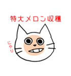 ギャンブル大好きねこ（個別スタンプ：27）