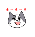 ギャンブル大好きねこ（個別スタンプ：36）