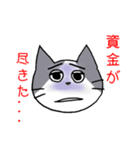 ギャンブル大好きねこ（個別スタンプ：38）