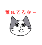 ギャンブル大好きねこ（個別スタンプ：39）