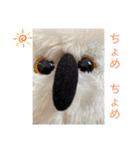 Maona'sS（個別スタンプ：5）