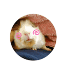 もも♡きなこ（個別スタンプ：1）
