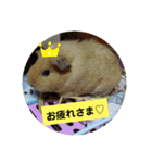 もも♡きなこ（個別スタンプ：9）