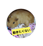 もも♡きなこ（個別スタンプ：11）